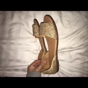 Cheetah flats